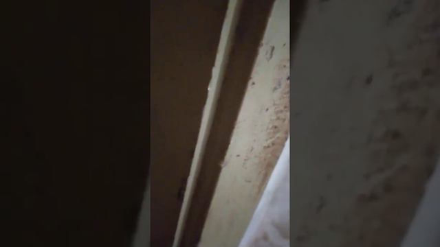 Сказав это, Он воззвал громким голосом: Лазарь! иди вон. смотреть онлайн