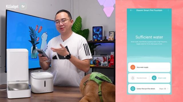 Xiaomi's Smart Pet Products | Automation Ep. 6 смотреть онлайн