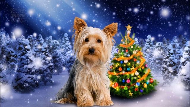 С наступающим новым годом! смотреть онлайн