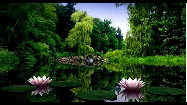 Группа Двио плюс. Это та самая песня... смотреть онлайн