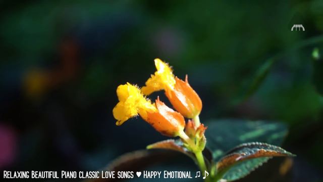 Greatest Beautiful Piano Classic Love Songs - Best Relaxing Romantic Melody of Love смотреть онлайн