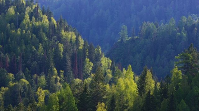 Спутниковая связь в iPhone 13. Все это правда? смотреть онлайн