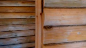 Баня 3 на 5 из БРЕВНА # СРУБ из ОСИНЫ