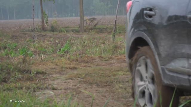 2020 Renault Kadjar 4x4 Black Edition Off-Road Test Drive