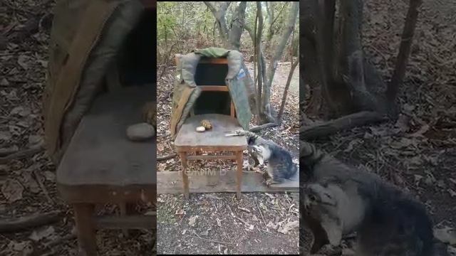 VID-20231210-WA0000.mp4 смотреть онлайн