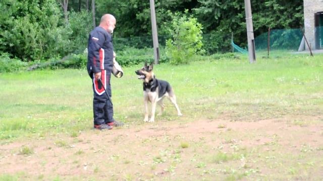Лагвардия Эверест. Лобовая КЧК 02.06.2018 смотреть онлайн