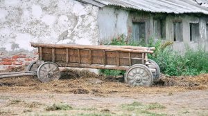 «Деревенский романс» - песня о том, как изменилась деревня, дорогая сердцу лирического героя.