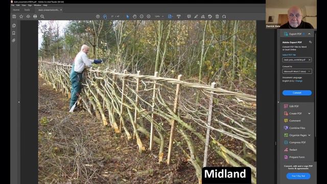 Hedgelaying Defined - With Derrick Hale