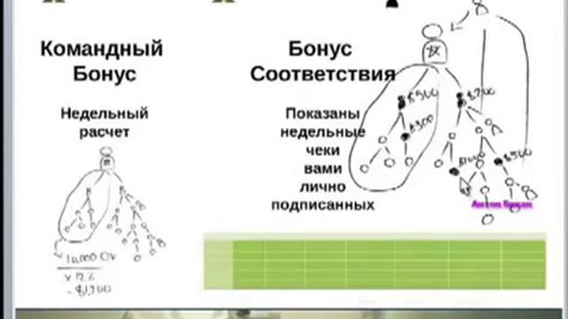 Маркетинговый план компании FGXpress смотреть онлайн