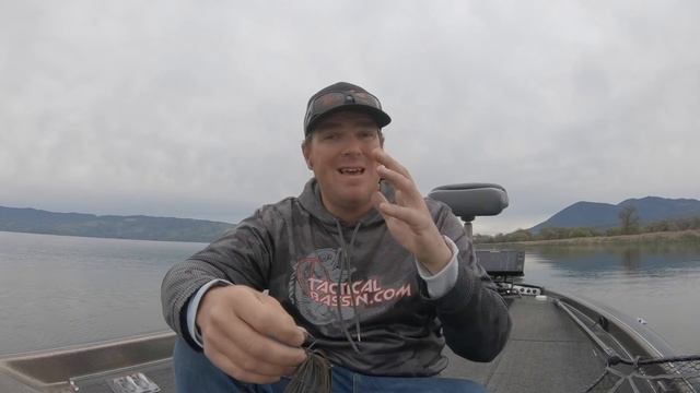 How To Fish A Chatterbait (Beginner Tips AND Advanced Tricks) смотреть онлайн