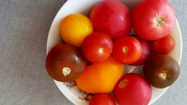 Футажи , кухня , микроновка , мойка , вода , овощи, помидоры , перец сладкий, перец болгарский , смотреть онлайн