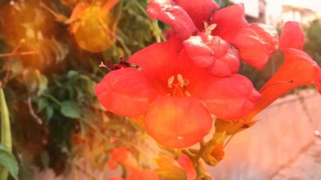 ЗА РУЧКУ / СТИХИ / ANNA RAKAEVA смотреть онлайн