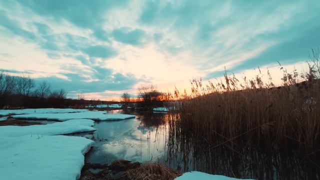 Как переносить невзгоды, менять мышление и стать стойким смотреть онлайн