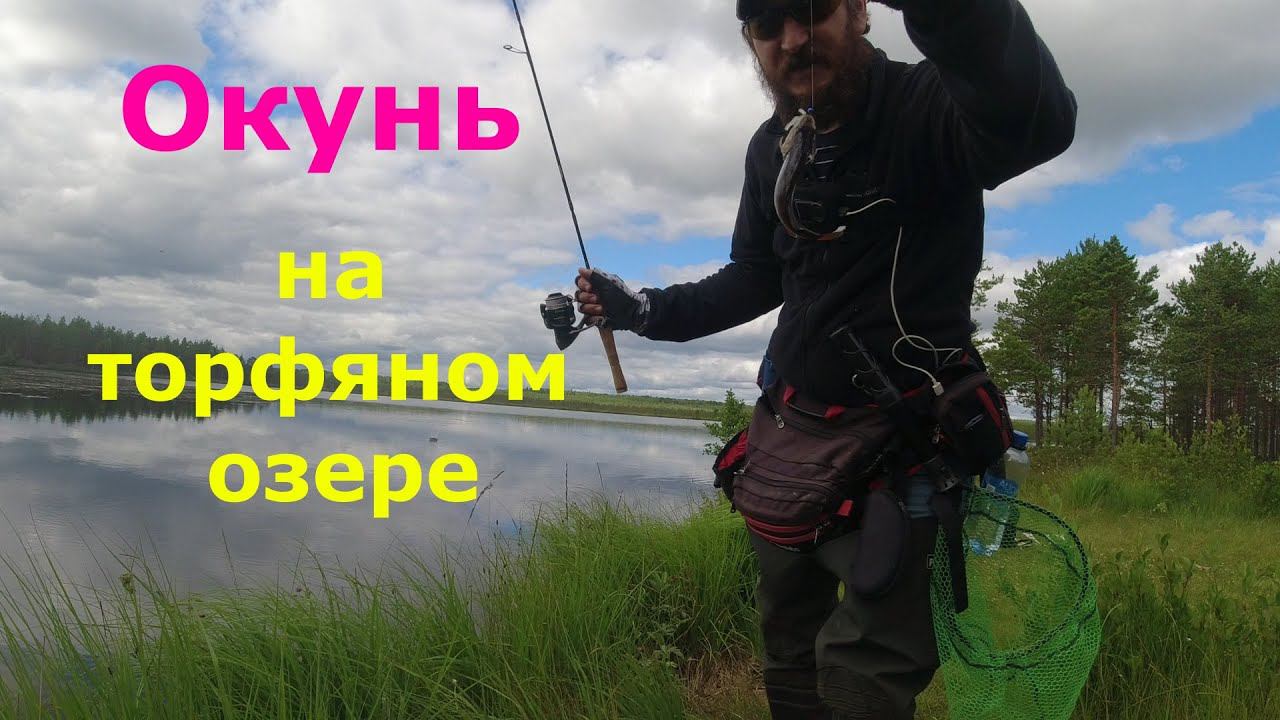 #435 #мормышинг #микроджиг | Торфяное озеро | смотреть онлайн