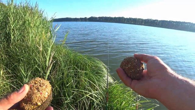 Коропа на поплавок. Секрет старого рибака.Рибалка з берега. смотреть онлайн