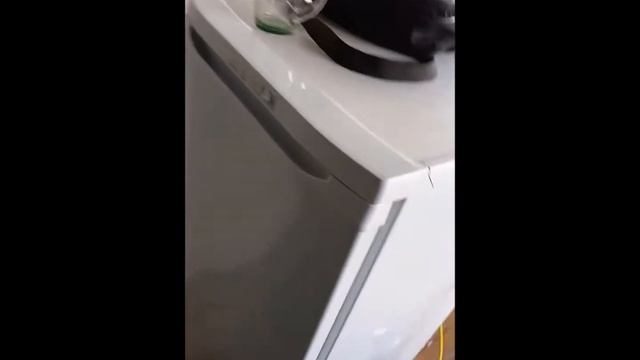 Ремонт холодильников в Абакане смотреть онлайн