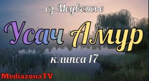 Русская Рыбалка 4 оз.Медвежье Усач Амур 23.05.23