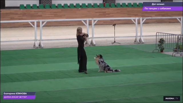 Даяна Инсар Зеттер 05.08.22 в MAXIMA DOG OLIMP. класс Открытый Фристайл 3 место смотреть онлайн