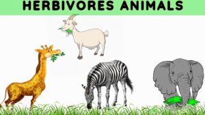 Herbivores carnivores and omnivores | Animals and their food | Eating habits of animals |#herbivore