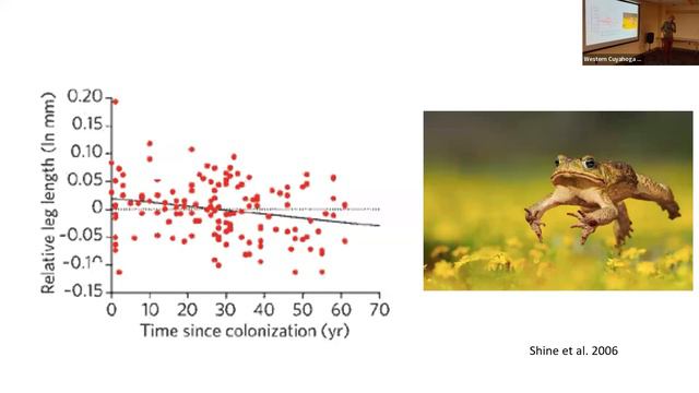 WCAS Speaker Series February 2024: Insects: The Good, the Bad, and the Declining смотреть онлайн
