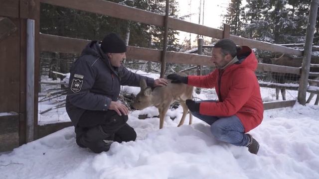 База отдыха "Эко-парк Зюраткуль" смотреть онлайн