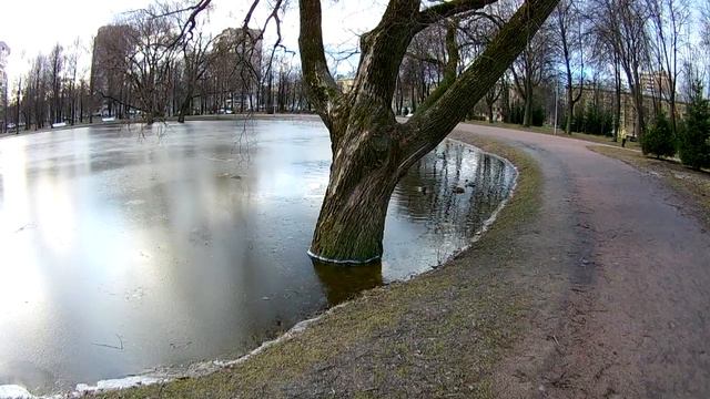 Полюстровский парк 25 января 2020 смотреть онлайн