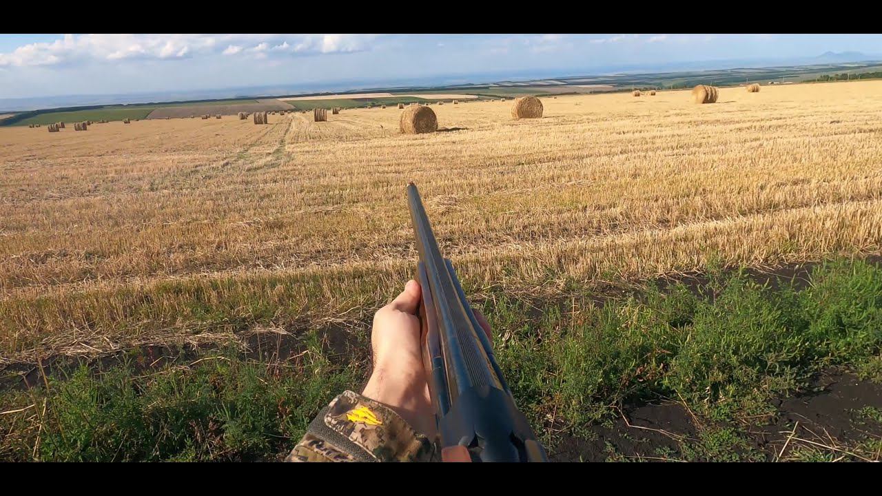 Охота на перепела в КЧР.