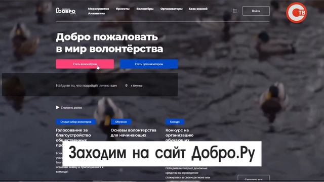 Как стать волонтером проекта «Формирование комфортной городской среды» смотреть онлайн