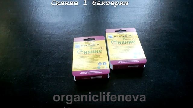 Сияние -1 универсальное микробиологическое удобрение.Набор 4 упаковки. смотреть онлайн