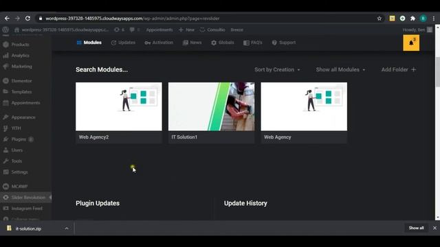 How to Export and Import Slider Revolution Sliders (WordPress) смотреть онлайн