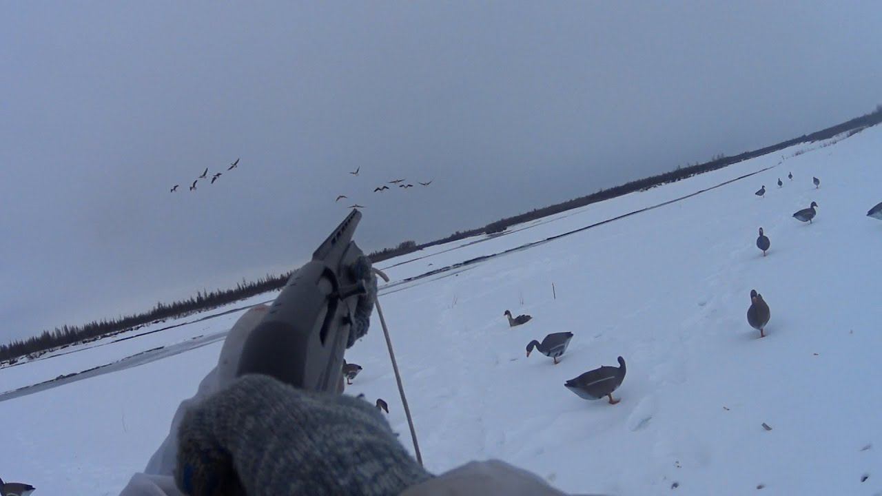 СЕЗОН 2023: ОЧЕРЕДНАЯ ВЫЛАЗКА ЗА ГУМЕННИКОМ. ОХОТА НА ГУСЯ В ЯКУТИИ. смотреть онлайн