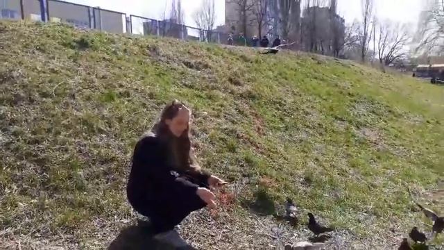 Спостереження в природі. Прогулянка. Розгляд верби. Спостереження за голубами. Частин 2 смотреть онлайн