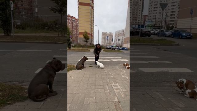 Обозначение и Закрепление «Границы - Дорога» / Часть 15 смотреть онлайн