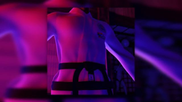 Sergey Nedelko - Тхэквондо МФТ