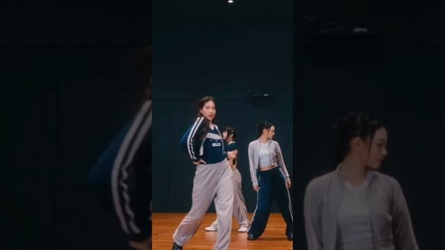 [Mirrored] New Jeans - 