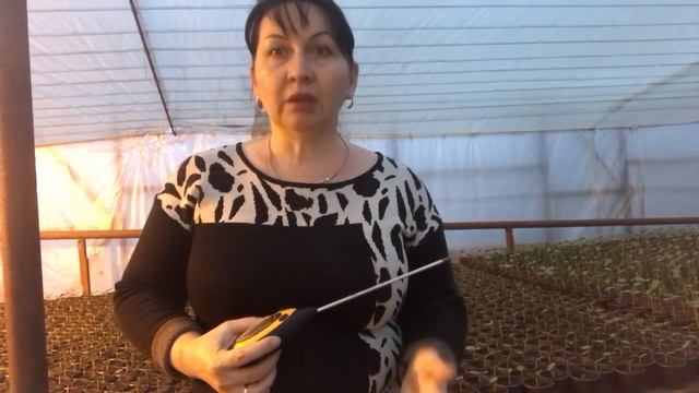 Проверяем Ph почвы. Оптимальная кислотность для рассады. смотреть онлайн