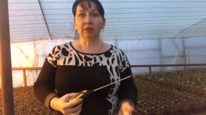 Проверяем Ph почвы. Оптимальная кислотность для рассады.