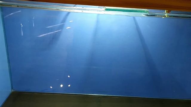 бюджетный фон для аквариума своими руками смотреть онлайн