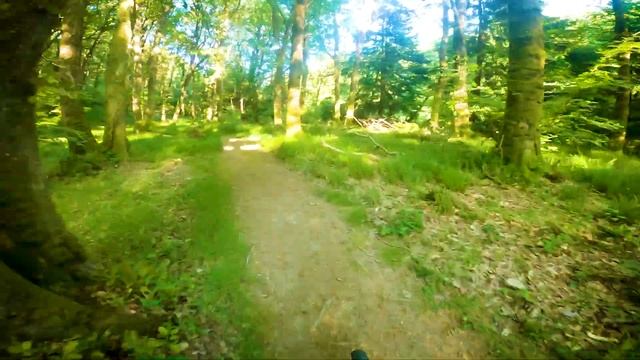 Mountain Biking Adventures on My Rockrider ST100 - Chapter 7 смотреть онлайн