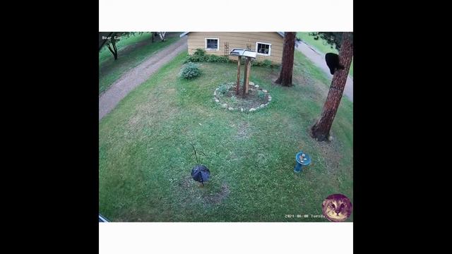 иди сюда смотреть онлайн