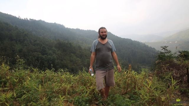 Какую воду пьют китайцы? Вода для чая в Китае. смотреть онлайн