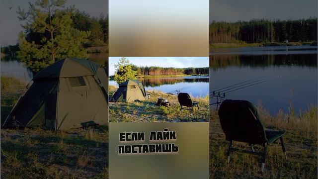 тест на рыбака