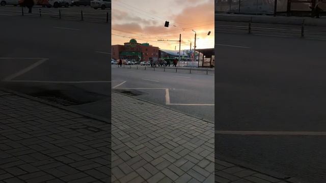 автобус 8 стоит на красном светофоре
