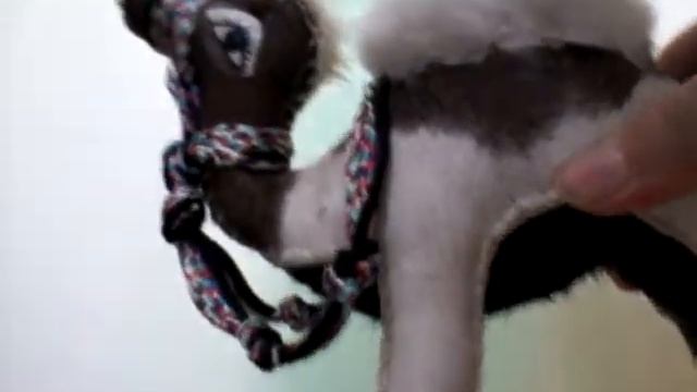 Мои сувениры из Египта!? смотреть онлайн