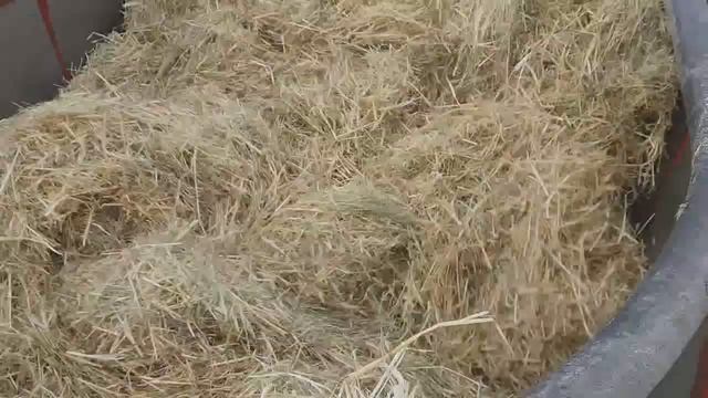 Измельчение кормов смотреть онлайн