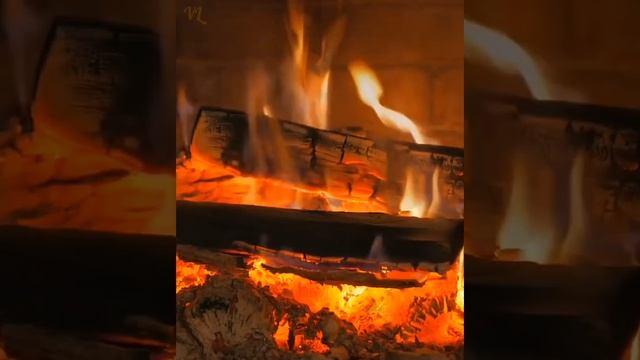 ОЙ ВЫ КОНИ, МОИ КОНИ смотреть онлайн