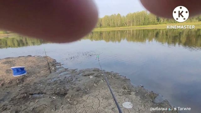 Ловля карася в +30 градусов ?️.Успеваю ловить пока есть еще вода в пруду смотреть онлайн