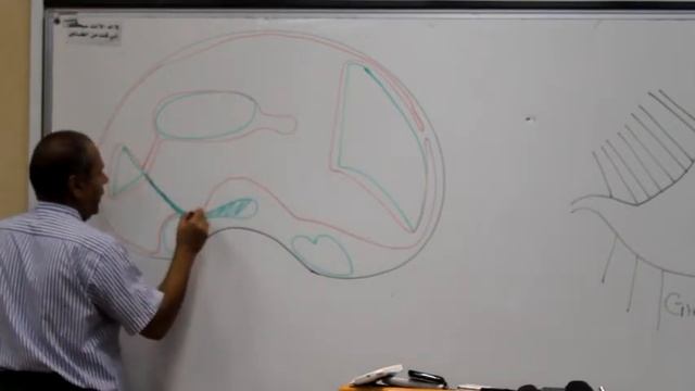 GIT Block Lec8 Prof Wagih "female" part9 end смотреть онлайн