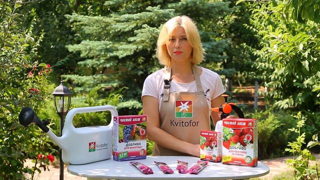 Kvitofor смотреть онлайн