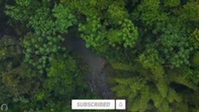 Расслабляющая музыка для сна? Исцеляющая музыка для сердца и сосудов, снятие стресса смотреть онлайн